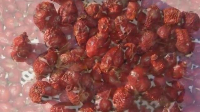 Шиповник. Польза и вред шиповника.
