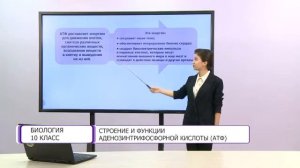 Биология. 10 класс. Строение и функции аденозинтрифосфорной кислоты (АТФ) /04.12.2020/