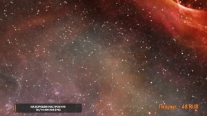 база кормит