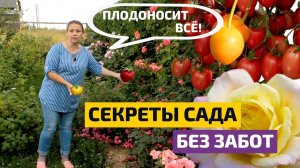 Правильное соседство и волшебная мульча: как вырастить южные культуры на севере? // FORUMHOUSE