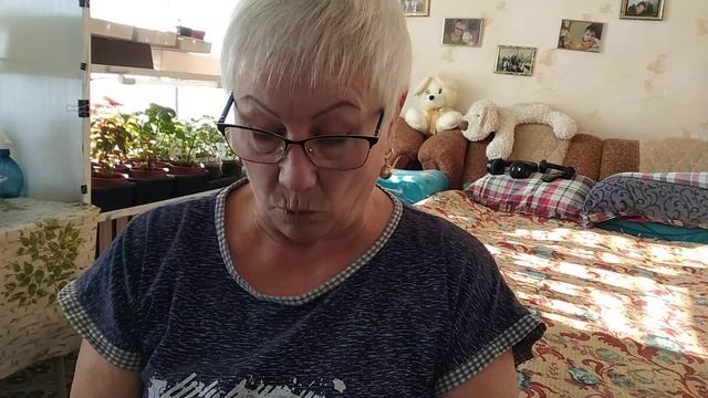 Сроки хранения и посадки семян овощей.