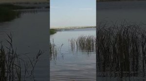 Вот мы и у воды.Отдых. Рыбалка.Давлеканово.Башкортостан.