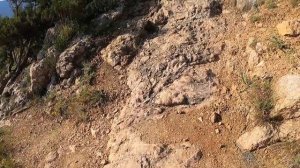 Рыбалка в Балаклаве   Ответы на вопросы