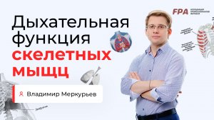 Дыхательная функция скелетных мышц | Владимир Меркурьев (FPA)