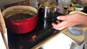 Индукционная плита