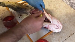 КАК ПРИГОТОВИТЬ СОМА В ДУХОВКЕ. ВКУСНЫЙ РЕЦЕПТ СОМА В ДУХОВКЕ.