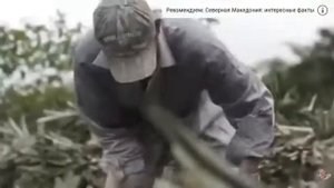 #Nicaragua ИНТЕРЕСНЫЕ ФАКТЫ О НИКАРАГУА
