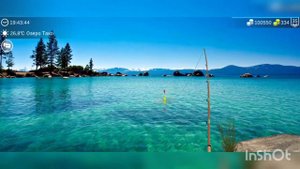 My Fishing World Зеркальный карп ловим одну за одной