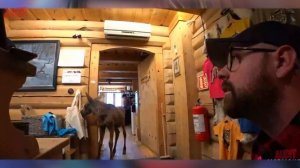 A Baby MOOSE Eats a Store w/ Knut