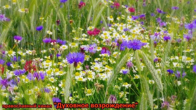 Без покаяния мы не можем сделать ничего достойного . Древний Патерик, Марк Подвижник. смотреть онлайн