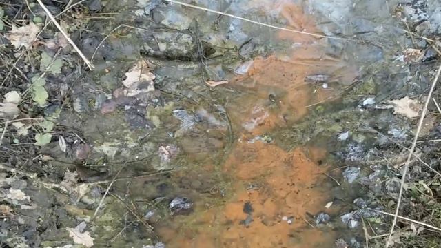 Моя дача 3 овраг смотреть онлайн