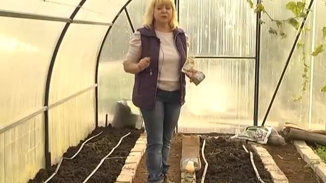 Подготовка растений к зимовке. Дезинфекция теплицы. смотреть онлайн