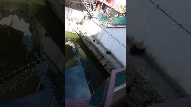 Суворовская братва смотреть онлайн