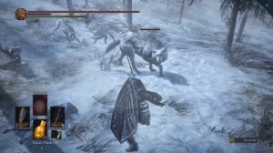 Dark Souls III: Ashes of Ariandel - Wolf Pack