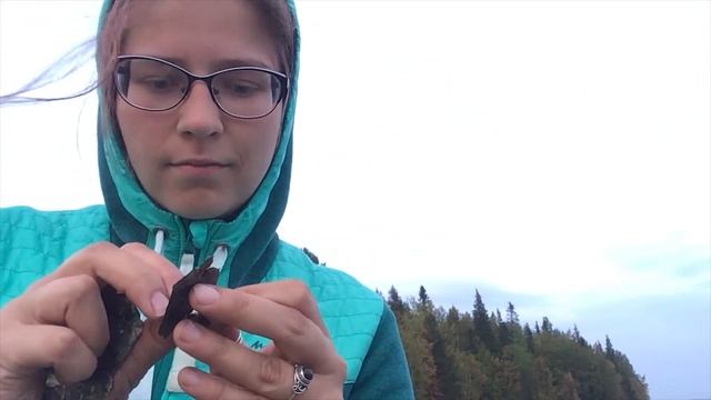 Поход в Карелию с биологическим уклоном =) смотреть онлайн