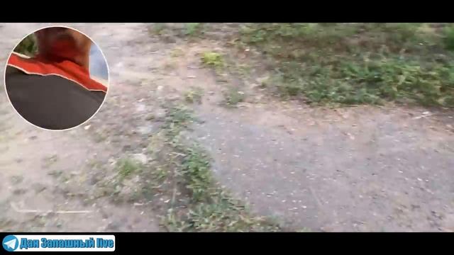 У этой обезьяны есть собственный АВТОДОМ! | Дан Запашный в гостях у шимпанзе Бони
