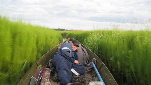 Хвощ. смотреть онлайн