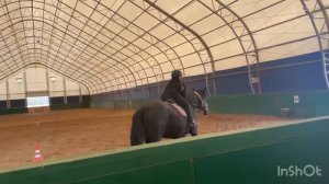 Мини влог. Тренировка в Конном клубе.