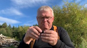 Манок на рябчика «Птеродактиль»!