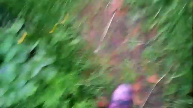 Я в деревне у бабушки летом! смотреть онлайн