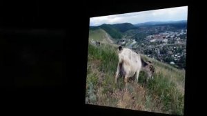 Уральские горы  Необыкновенные уральские горы