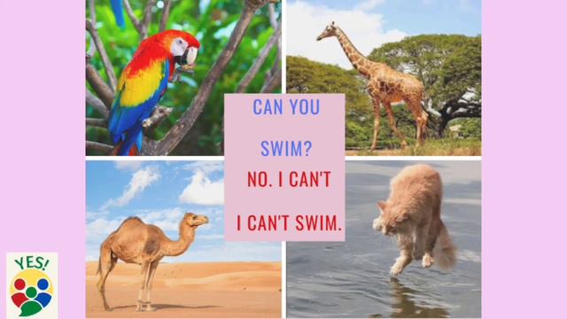 Can you swim? Yes, I can. No, I can't. смотреть онлайн