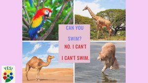 Can you swim? Yes, I can. No, I can't.