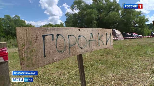 Орловщина стала местом притяжения для работников IT-сферы