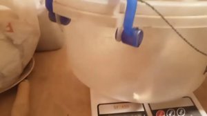 Вес бройлеров в 1 месяц