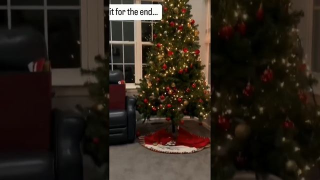 Новогодний юмор - смешное видео #зима #новыйгод #юмор #шутки #смех #поржать #ржунимагу #умора #мемы