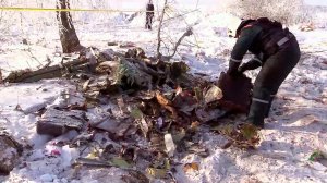 В Подмосковье на месте крушения Ан-148 расширили зону поисков до 50 гектаров