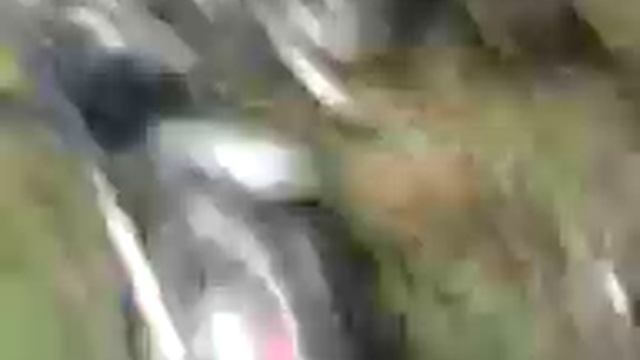Павел Погорелов