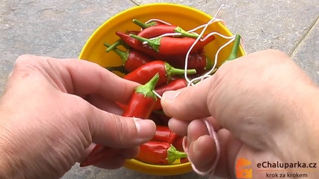 Jak pěstovat chilli papričku Cayenne ze semen. Capsicum annuum Cayenne смотреть онлайн
