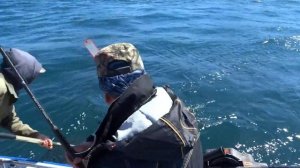 Ловля чавычи в море на Аляске
