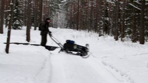 мотобуксировщик чинук в лесу