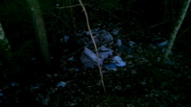 Экологи на дороге в Новые Месковичи смотреть онлайн