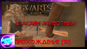 Hogwarts legacy [10 часть] СПАСАЕМ ЖИВОТНЫХ!
