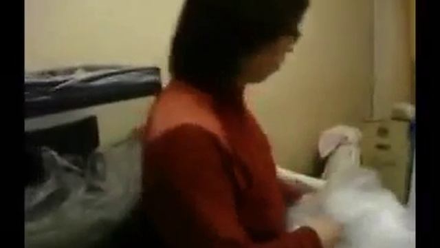 Перевозка аквариума травника на 250 л смотреть онлайн