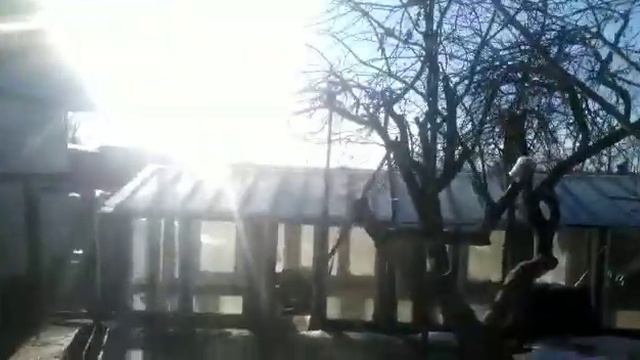 Расклёв яиц, что делать? Как предотвратить?Что давать для укрепления скорлупы?