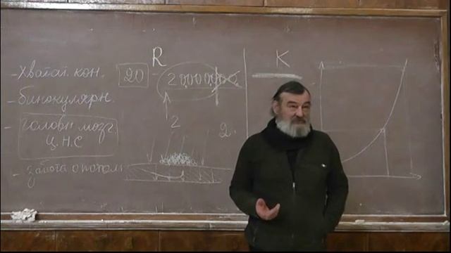 10 Языки смотреть онлайн