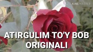 Atirgulim tuy bob - Атиргулим Туй боб