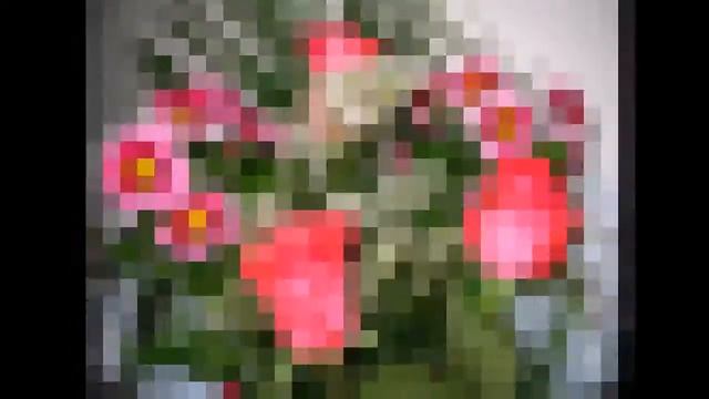 ✔️ Музыкальная композиция цветов.✔️Музыкальная открытка.✔️ смотреть онлайн