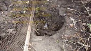 Пищевые отходы в огород