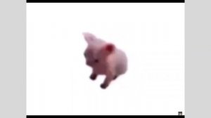 Ах ты,ах ты.Милый,милый августин,августин