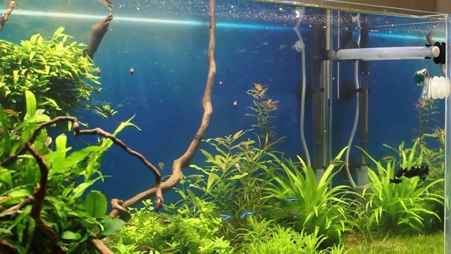 Реактор CO2 смотреть онлайн