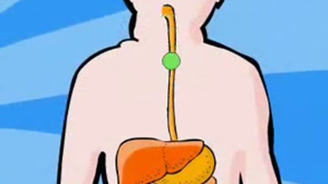 Механизм действия лекарств.avi