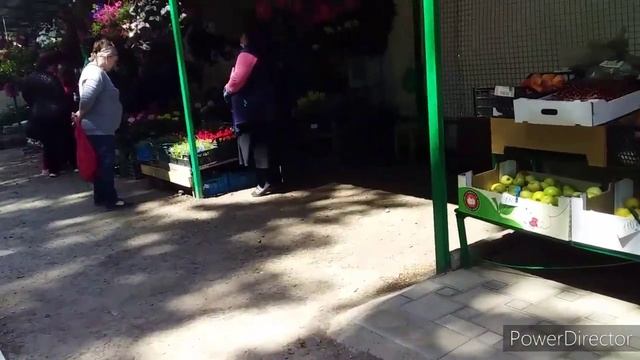 Купили Дом в Краснодаре на Дачах//Влог: Прогулка на Цветочную Ярмарку/Добавки для Кур