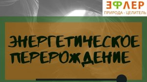 Выход из онкостатуса. Основные инструменты при борьбе с раком | Подавляющие механизмы онкологизации.