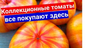 ЭТИ СЕМЕНА ВСЕ СПРАШИВАЮТ ГДЕ КУПИТЬ! СЕМЕНА МАЛИННИК.РУ - РАСПАКОВКА, ОТЗЫВ, ОБЗОР.