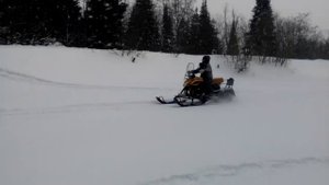 Катание на снегоходе динго т 150
